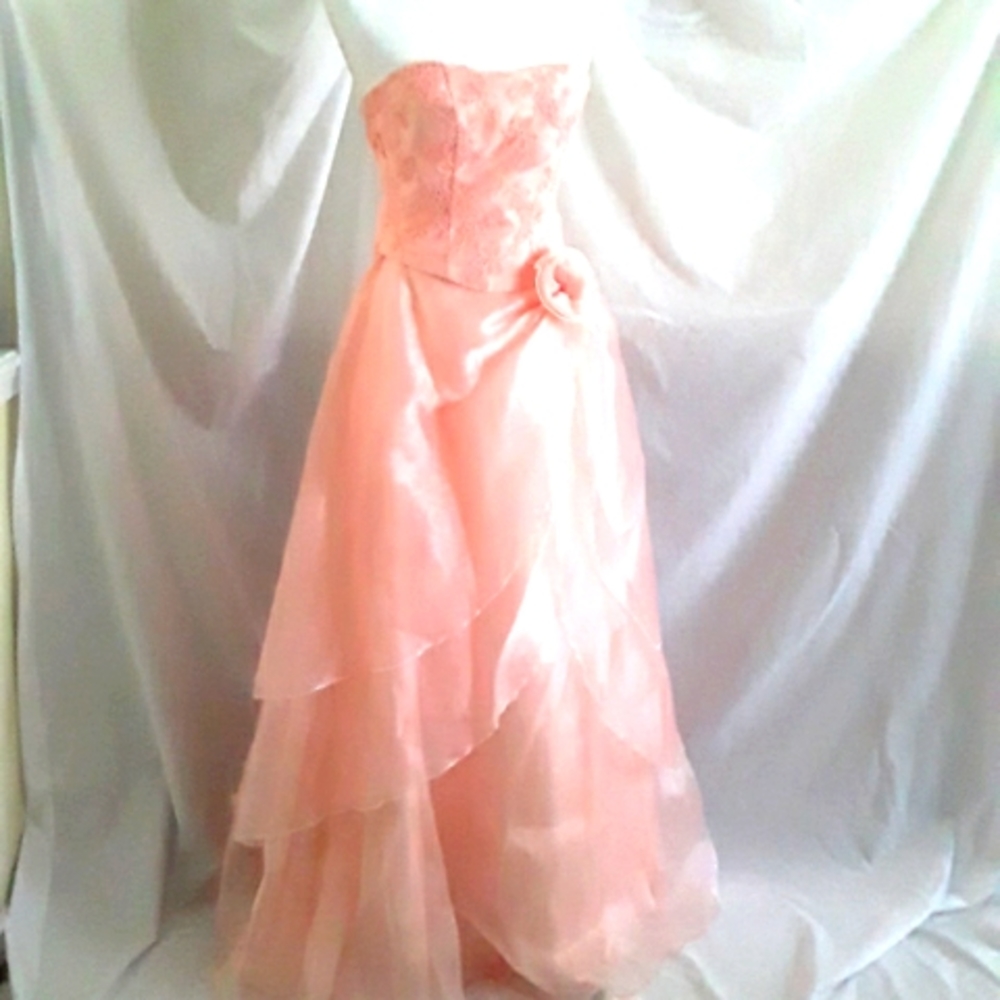 Poly  Peach Ball Gown